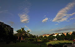 作文四百字校園的早晨