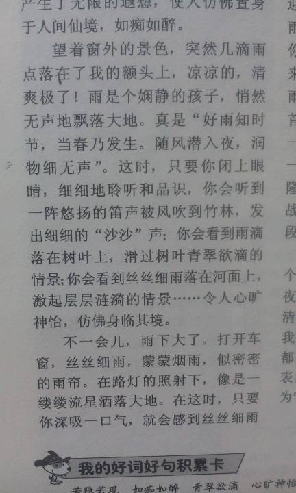 校園的雨景作文高中