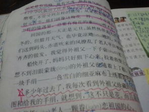 作文,校園里,花兒,百字