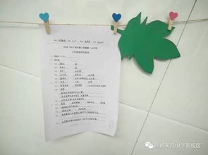 我的新校園400字作文初一