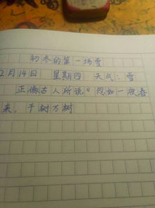 校園的第一場雪作文8字