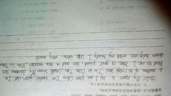 我和,作文,七級(jí),校園