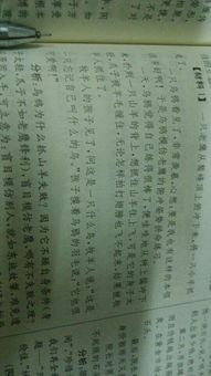 我想對校園說800字作文