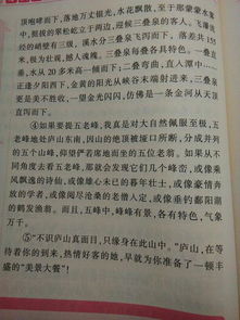 校園美景作文450字作文