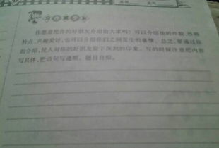 介紹校園的籃球社團作文