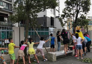 珠海前山小學(xué)校園作文