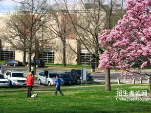 早春校園的一角作文