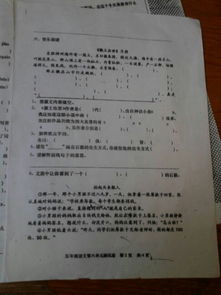 誠(chéng)信校園作文450字左右