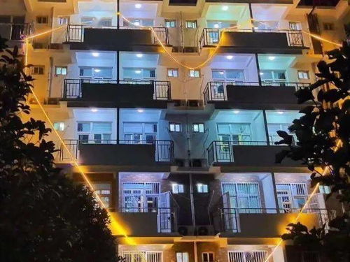 作文,疫情,校園生活