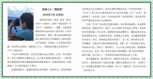 優(yōu)秀作文中午的校園