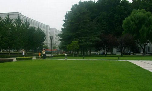 關(guān)于校園變化的800字作文