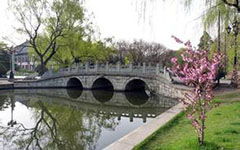 作文,景色,春天,校園