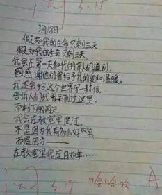 小學(xué)作文寫校園里感動人心的事情