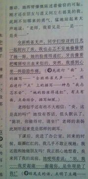 作文校園的新鮮事400字