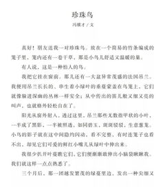 關(guān)于寫剛進(jìn)校園的感受的作文