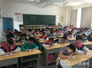 陽(yáng)光校園我們是好伙伴征文800字,陽(yáng)光校園,我們是好伙伴主題作文,陽(yáng)光校園我們是好伙伴征文