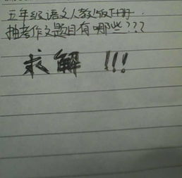 五級語文作文題目我的校園