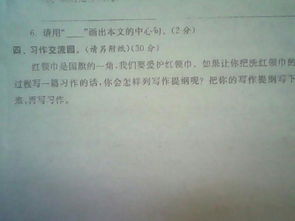 校園甬道的作文300字