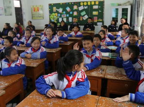 平安校園的作文,平安校園作文一等獎,以平安校園為主題的作文