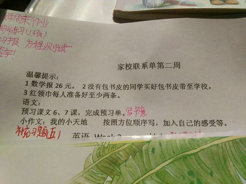 初二作文我的小天地200字,我的小天地作文200字左右,我的小天地作文200字說(shuō)明文初二