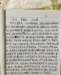 安全故事安全進(jìn)校園的內(nèi)容寫作文