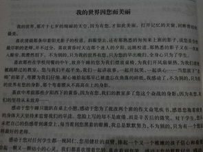 感動校園人物推薦作文400字