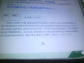 作文,松樹(shù),校園里