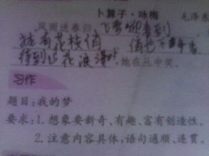 我的夢600字優(yōu)秀作文關(guān)于校園