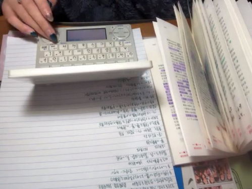 校園這里有我的青春的作文