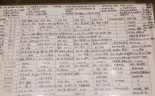 作文,大學(xué)校園,日子