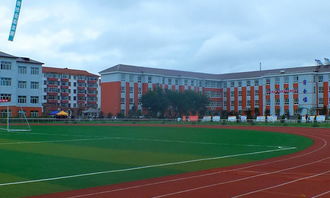 我的一天作文600字校園開頭