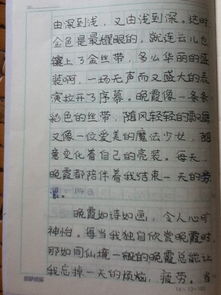 校園美景300字作文