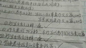 以悅讀校園為主題的作文600字作文