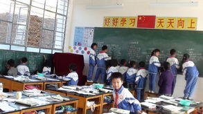 初中作文參觀校園文化節(jié)有感