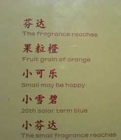 有趣的校園活動作文300字,有趣的校園活動作文500字,有趣的校園集體活動作文