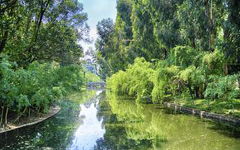 夏天校園景色作文400字,夏天校園景色作文300字,夏天的校園景色作文