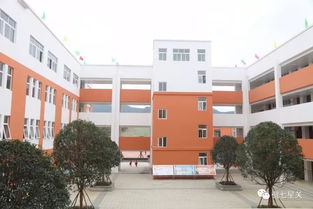 作文,校園環(huán)境,美麗