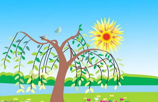 校園柳樹觀察作文一段話