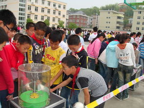 科技進(jìn)校園的心得體會(huì)作文