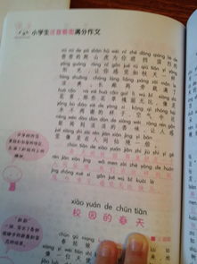 校園最美作文題目