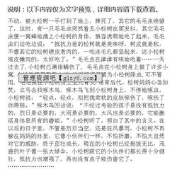 校園里的一棵松樹作文300字