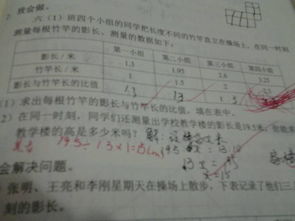 作文,教學(xué)樓,校園,遠(yuǎn)到近