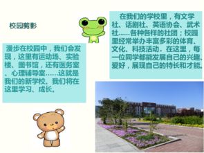 我心中的校園風(fēng)景線作文課課件