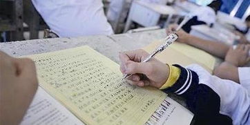 總寫校園的作文