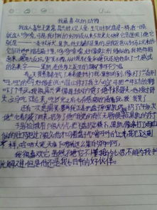 我的校園我喜歡作文400字作文400字