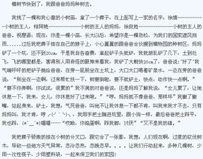 作文,植樹,校園