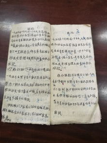 傳人,紅軍,校園文化,中學(xué)生作文