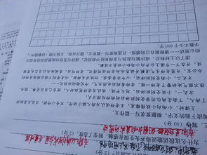 科技進(jìn)校園初三作文1000字