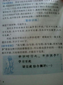 新的校園800字作文,我的校園作文800字,關(guān)于校園作文800字