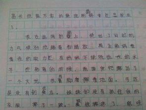 以校園的雨為題的作文600字